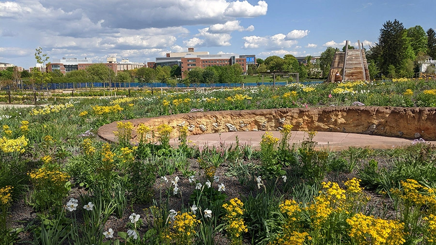 The Arboretum at Penn State